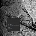 Pochette recto-verso : Obliq