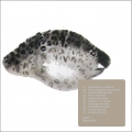 Pochette recto-verso : Fil tendu