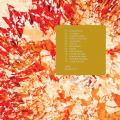 Pochette recto-verso : Amplified discipline