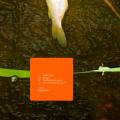 Pochette recto-verso : Blobus