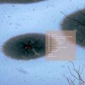 Pochette recto-verso : Archipel